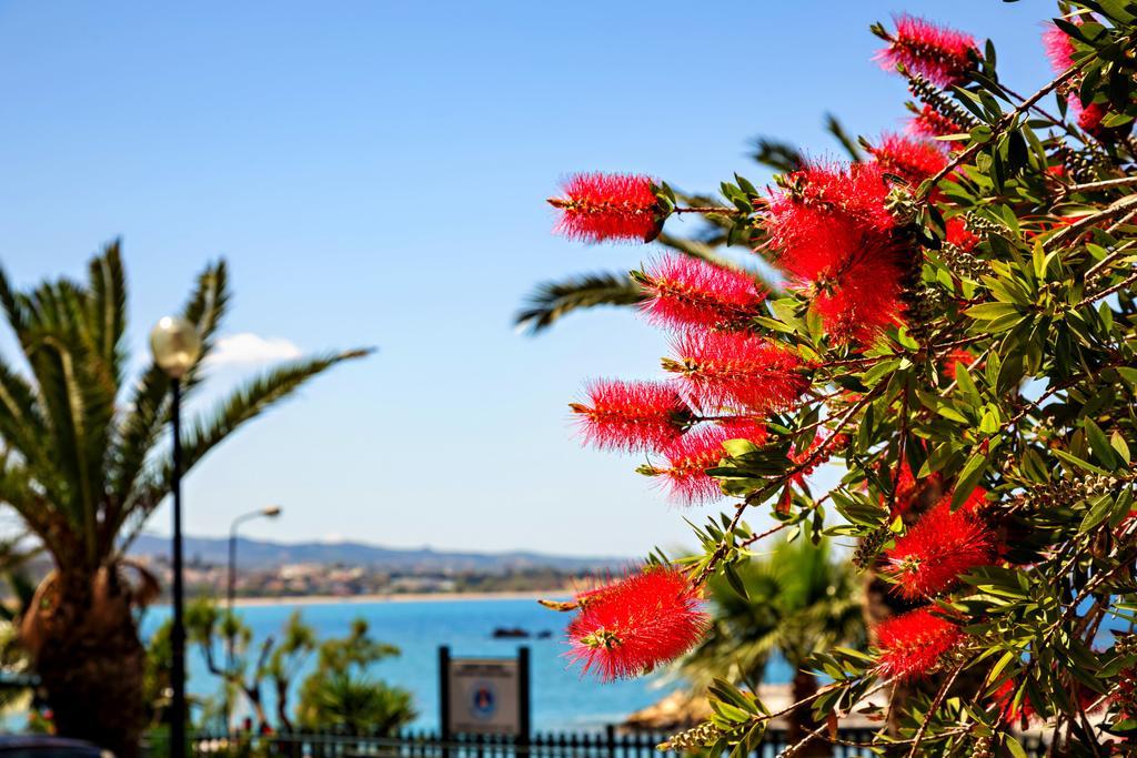 Stam'S Paradise Chania  Zewnętrze zdjęcie